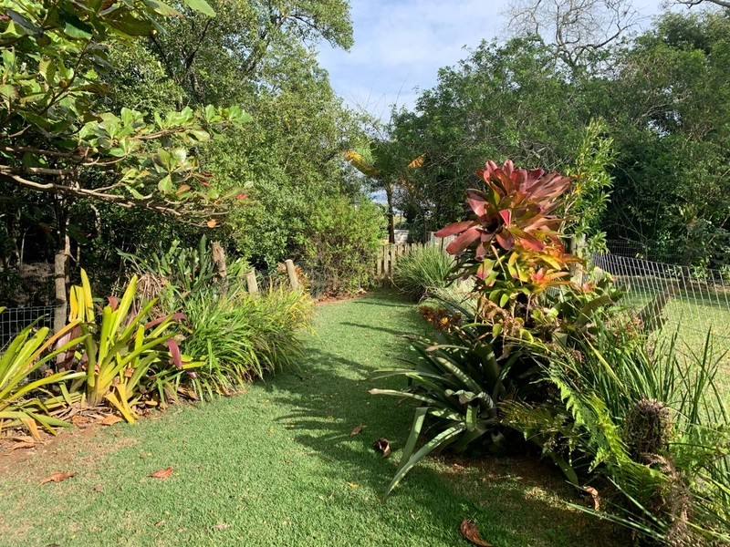 Casa residencial a venda no João paulo em Florianópolis: 2ª foto da galeria de imagens do imóvel
