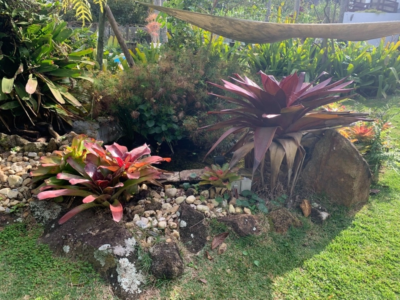 Casa residencial a venda no João paulo em Florianópolis: 35ª foto da galeria de imagens do imóvel