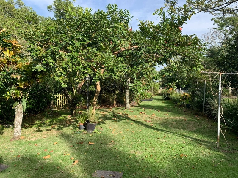 Casa residencial a venda no João paulo em Florianópolis: 36ª foto da galeria de imagens do imóvel
