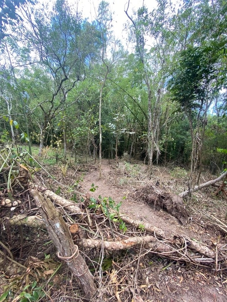 Terreno a venda em Ratones norte da ilha: 1ª foto da galeria de imagens do imóvel