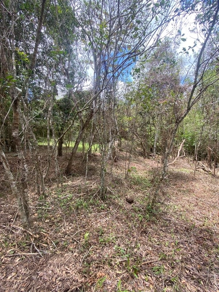 Terreno a venda em Ratones norte da ilha: 6ª foto da galeria de imagens do imóvel