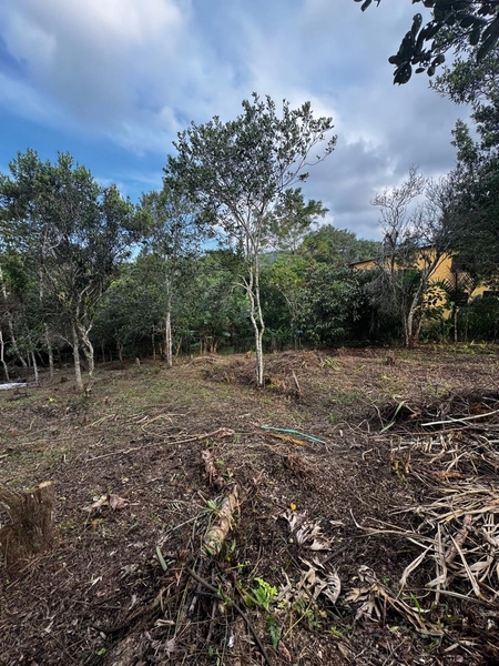 Terreno a venda em Ratones norte da ilha: 20ª foto da galeria de imagens do imóvel