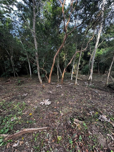 Terreno a venda em Ratones norte da ilha: 15ª foto da galeria de imagens do imóvel