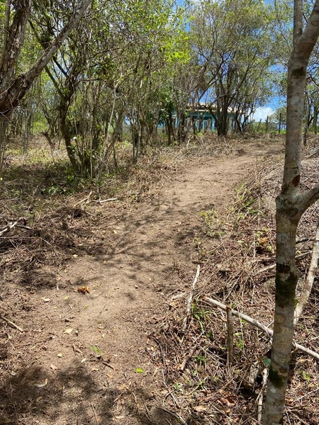 Terreno a venda em Ratones norte da ilha: 5ª foto da galeria de imagens do imóvel