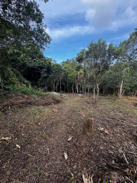 Terreno a venda em Ratones norte da ilha: 21ª foto da galeria de imagens do imóvel