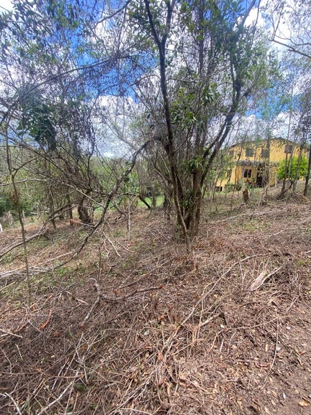 Terreno a venda em Ratones norte da ilha: 8ª foto da galeria de imagens do imóvel