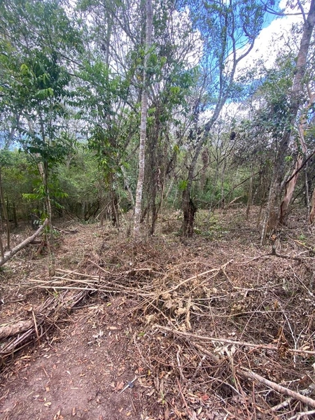 Terreno a venda em Ratones norte da ilha: 12ª foto da galeria de imagens do imóvel