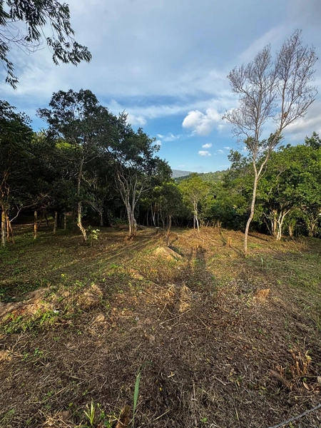 Terreno a venda em Ratones norte da ilha: 13ª foto da galeria de imagens do imóvel