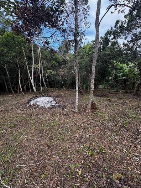 Terreno a venda em Ratones norte da ilha: 16ª foto da galeria de imagens do imóvel