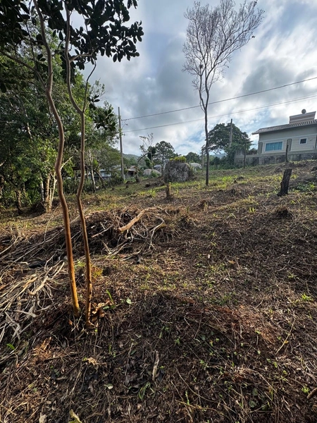 Terreno a venda em Ratones norte da ilha: 23ª foto da galeria de imagens do imóvel