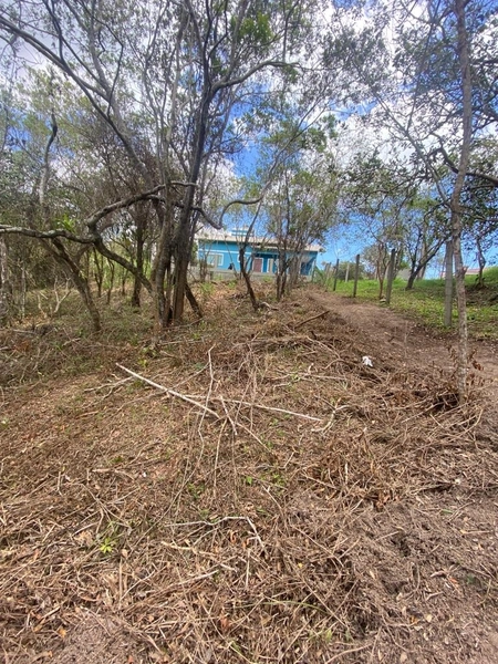 Terreno a venda em Ratones norte da ilha: 10ª foto da galeria de imagens do imóvel