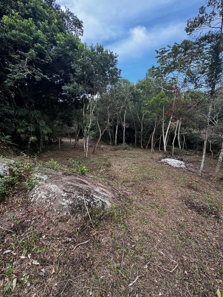 Terreno a venda em Ratones norte da ilha: 19ª foto da galeria de imagens do imóvel