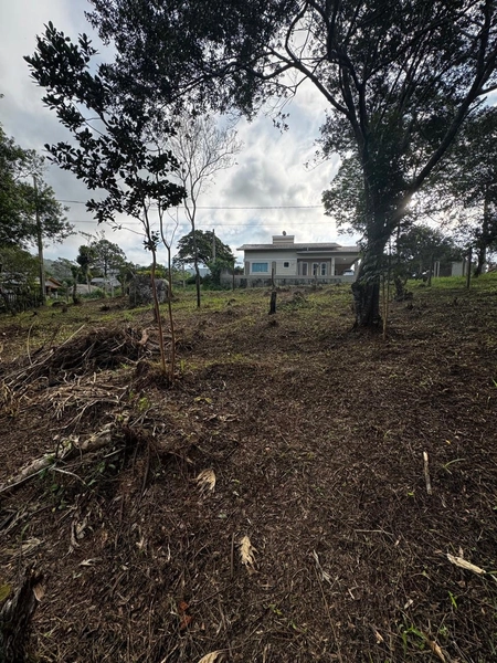Terreno a venda em Ratones norte da ilha: 22ª foto da galeria de imagens do imóvel