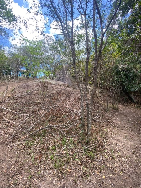 Terreno a venda em Ratones norte da ilha: 2ª foto da galeria de imagens do imóvel