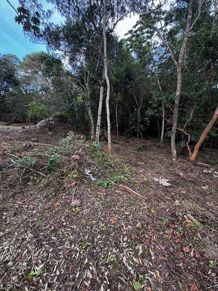 Terreno a venda em Ratones norte da ilha: 18ª foto da galeria de imagens do imóvel