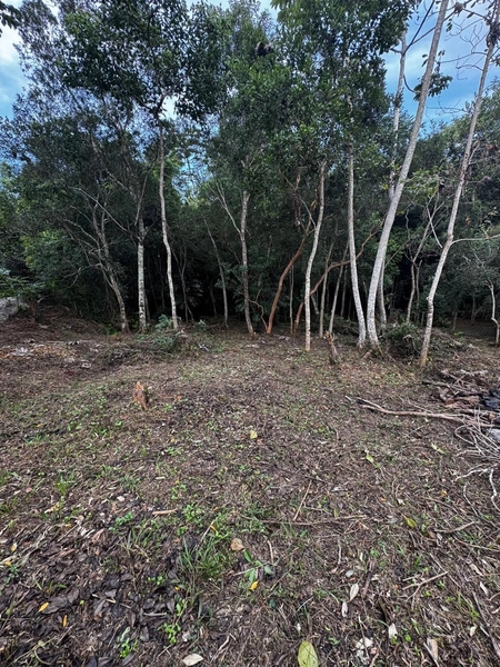 Terreno a venda em Ratones norte da ilha: 17ª foto da galeria de imagens do imóvel