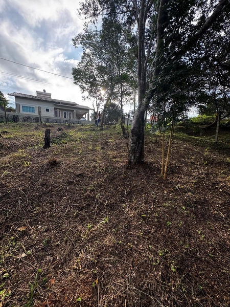 Terreno a venda em Ratones norte da ilha: 24ª foto da galeria de imagens do imóvel