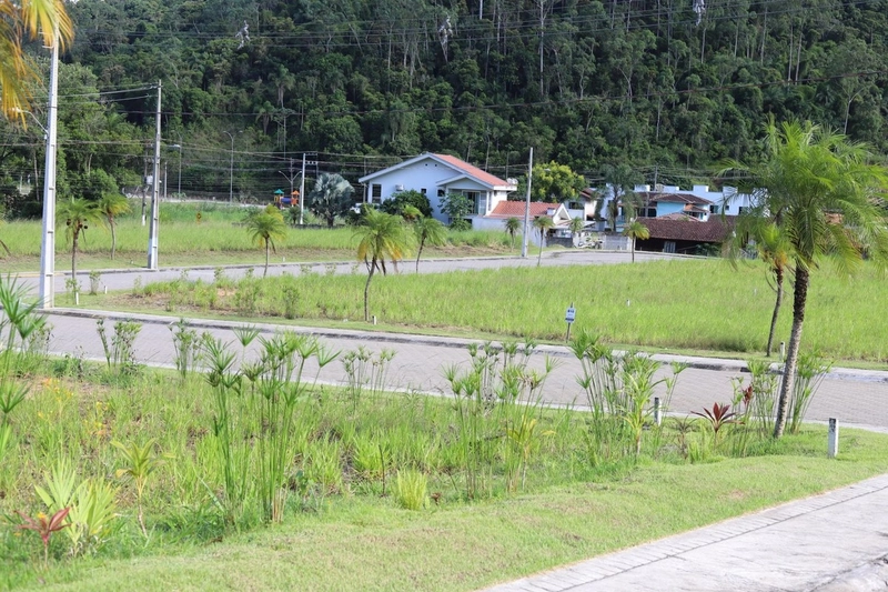 Recanto da Lua: Loteamento Residencial ,bairro Bateas: 11ª foto da galeria de imagens do imóvel