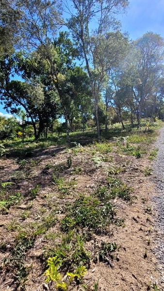 TERRENO PARA CHÁCARA EM NOVA TRENTO/SC: 5ª foto da galeria de imagens do imóvel