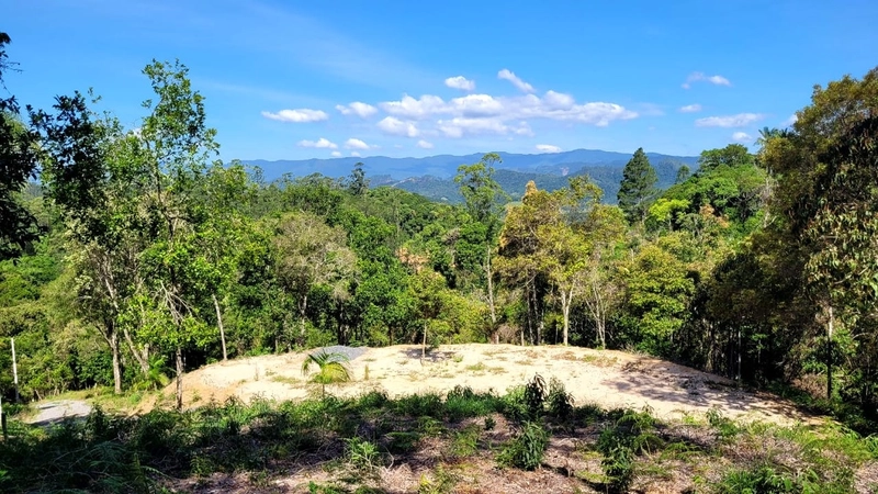 TERRENO PARA CHÁCARA EM NOVA TRENTO/SC: 7ª foto da galeria de imagens do imóvel