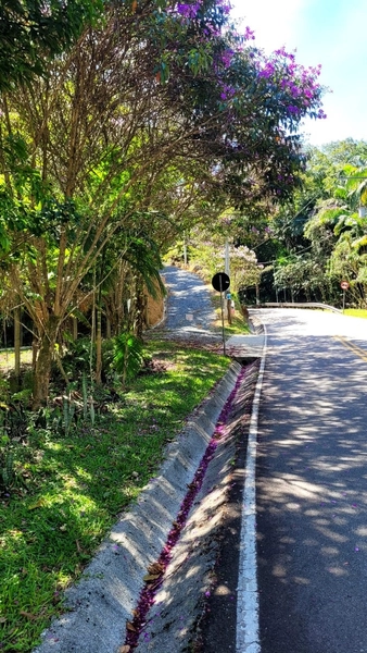 TERRENO PARA CHÁCARA EM NOVA TRENTO/SC: 1ª foto da galeria de imagens do imóvel