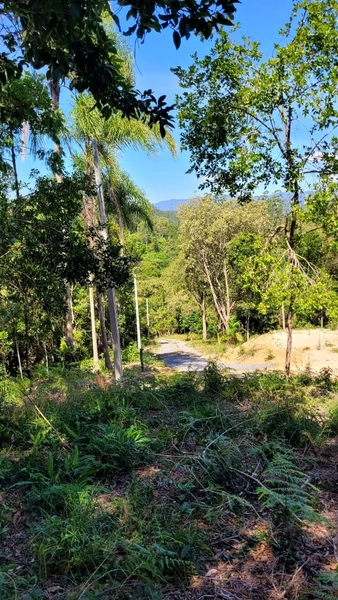 TERRENO PARA CHÁCARA EM NOVA TRENTO/SC: 2ª foto da galeria de imagens do imóvel
