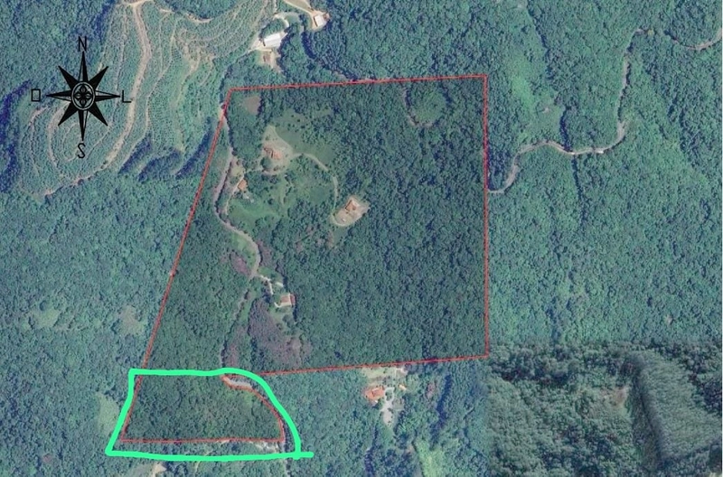 TERRENO PARA CHÁCARA EM NOVA TRENTO/SC: 9ª foto da galeria de imagens do imóvel