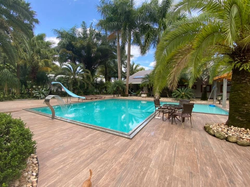Galpão Industrial e comercial com casa de alto padrão a venda: 18ª foto da galeria de imagens do imóvel