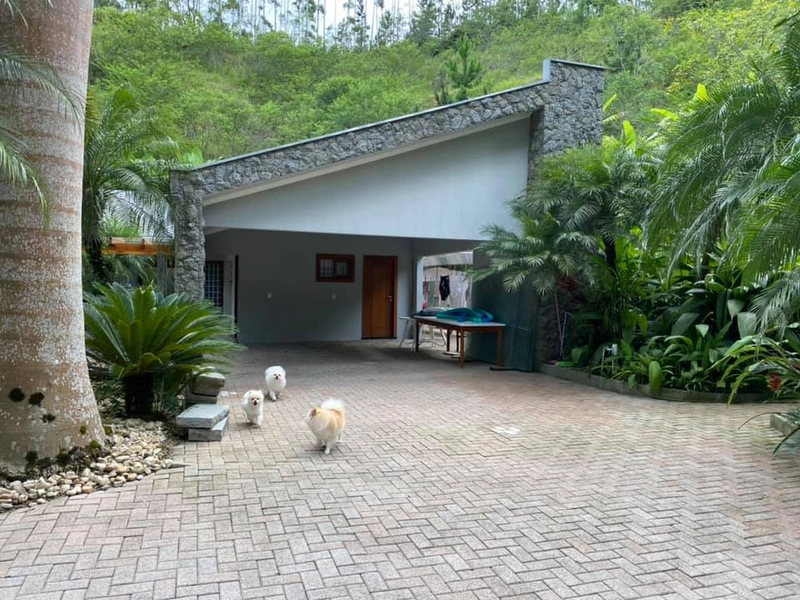 Galpão Industrial e comercial com casa de alto padrão a venda: 22ª foto da galeria de imagens do imóvel