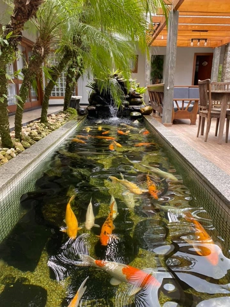 Galpão Industrial e comercial com casa de alto padrão a venda: 25ª foto da galeria de imagens do imóvel