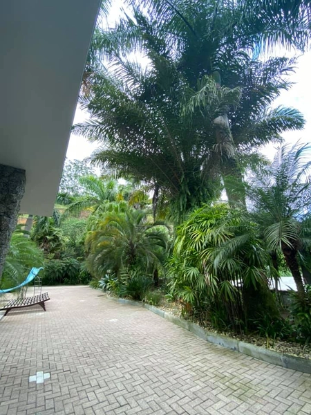 Galpão Industrial e comercial com casa de alto padrão a venda: 55ª foto da galeria de imagens do imóvel