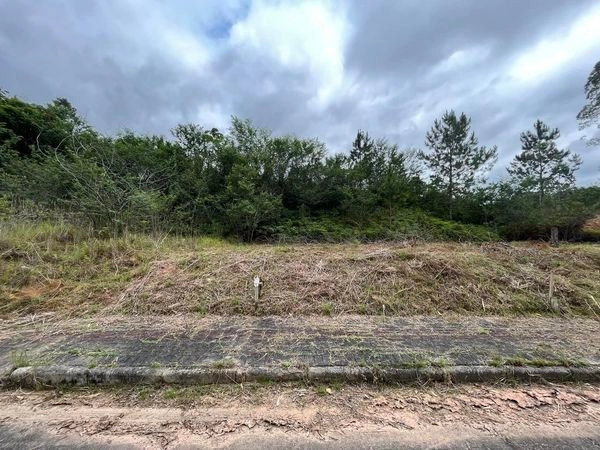 Terreno plano com 300m2 para venda no Lageado Baixo em Guabiruba-SC: 1ª foto da galeria de imagens do imóvel