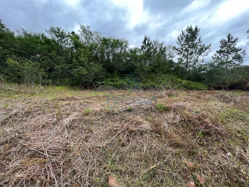Terreno plano com 300m2 para venda no Lageado Baixo em Guabiruba-SC: 2ª foto da galeria de imagens do imóvel