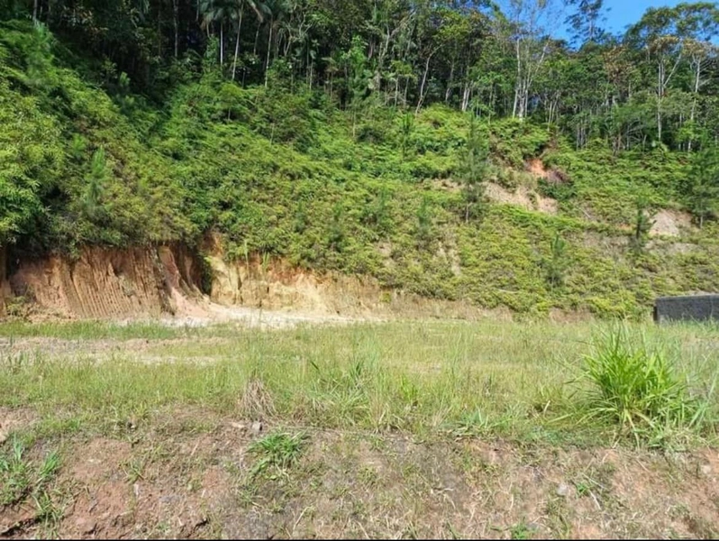 Terreno plano para venda no Bairro Aymore na cidade de Guabiruba-SC: 4ª foto da galeria de imagens do imóvel