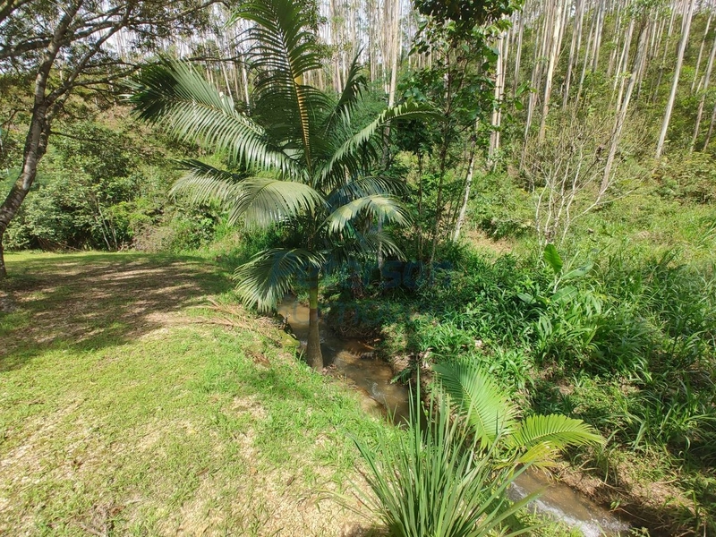 Chácara com riacho, casa e lagoas no Cedro Grande em Brusque: 5ª foto da galeria de imagens do imóvel