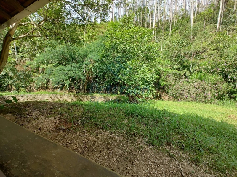 Chácara com riacho, casa e lagoas no Cedro Grande em Brusque: 25ª foto da galeria de imagens do imóvel