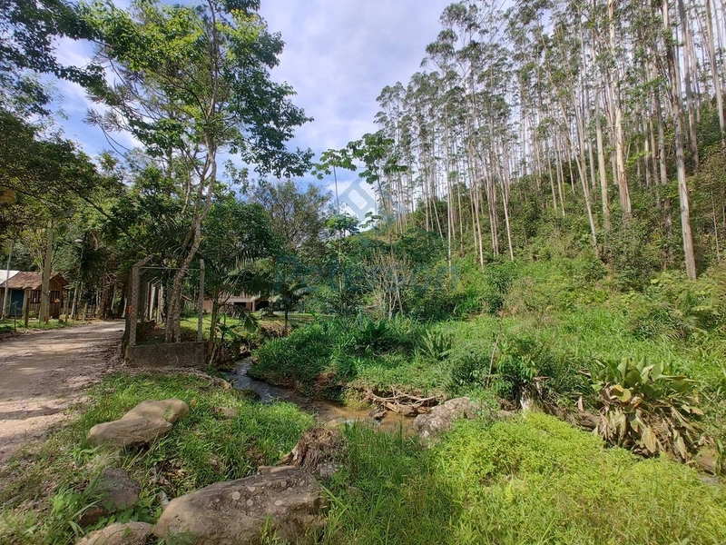 Chácara com riacho, casa e lagoas no Cedro Grande em Brusque: 20ª foto da galeria de imagens do imóvel