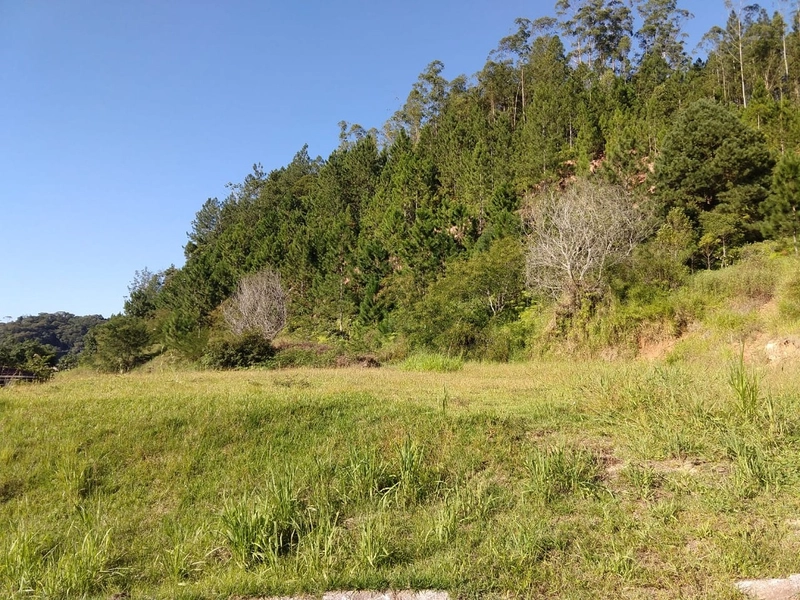 Vende Terreno Na Guabiruba Sul Com 610 m²: 4ª foto da galeria de imagens do imóvel