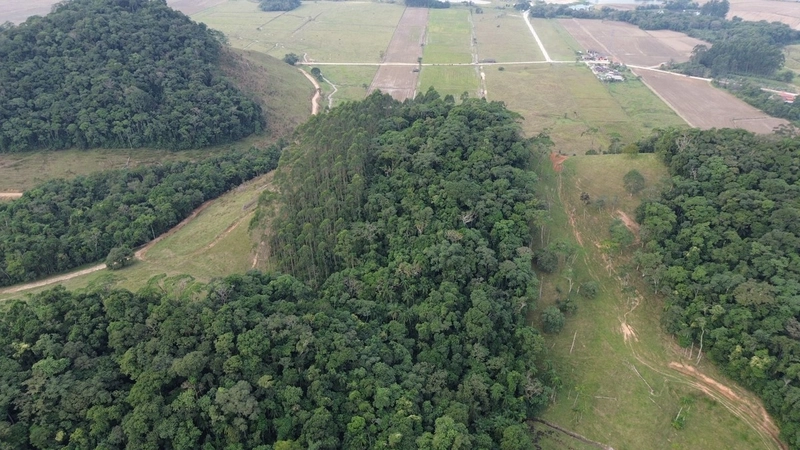 Terreno no bairro Campeche, Itajai 100% plano: 9ª foto da galeria de imagens do imóvel