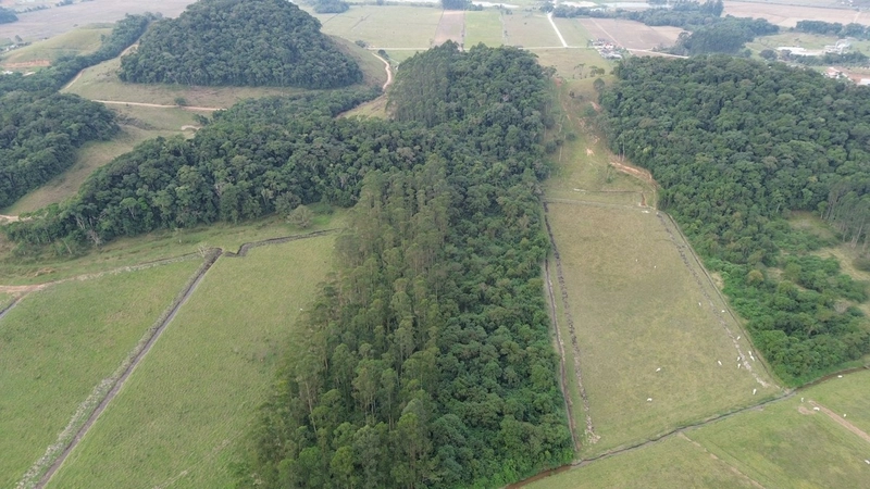 Terreno no bairro Campeche, Itajai 100% plano: 10ª foto da galeria de imagens do imóvel