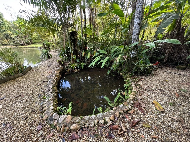 Venha conferir esse lindo sítio entrando para venda!: 39ª foto da galeria de imagens do imóvel