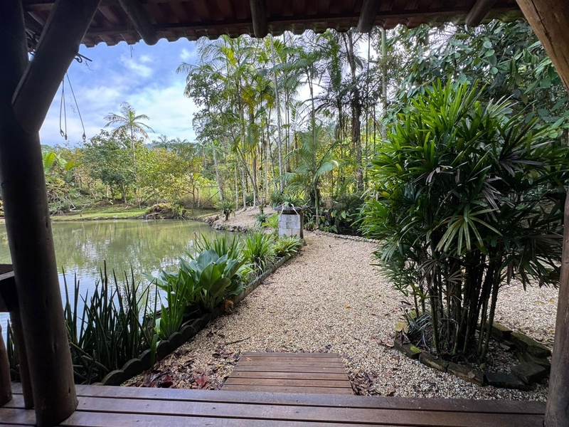 Venha conferir esse lindo sítio entrando para venda!: 43ª foto da galeria de imagens do imóvel