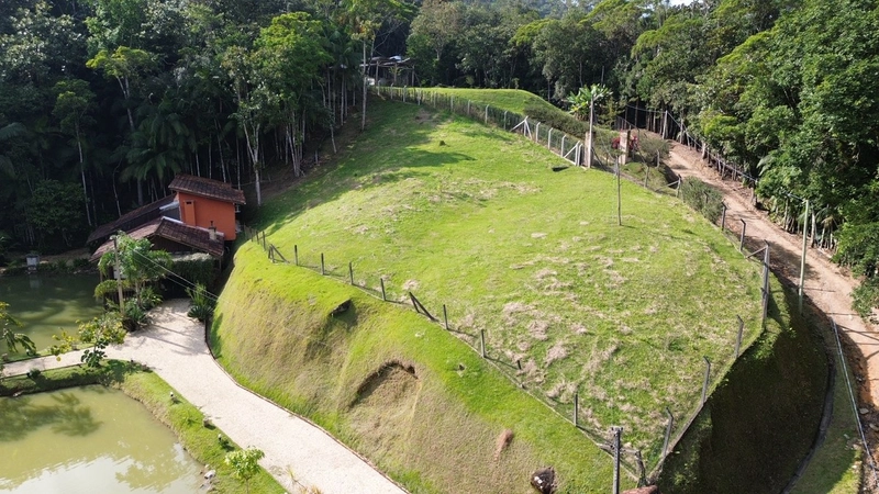 Venha conferir esse lindo sítio entrando para venda!: 34ª foto da galeria de imagens do imóvel