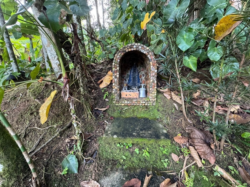 Venha conferir esse lindo sítio entrando para venda!: 38ª foto da galeria de imagens do imóvel