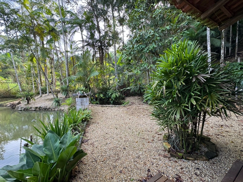 Venha conferir esse lindo sítio entrando para venda!: 42ª foto da galeria de imagens do imóvel