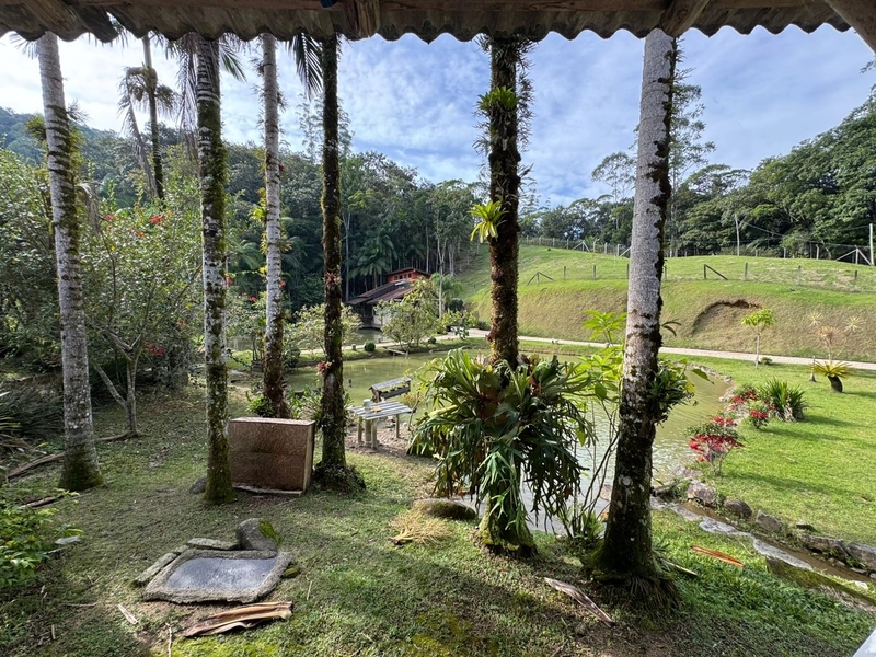 Venha conferir esse lindo sítio entrando para venda!: 47ª foto da galeria de imagens do imóvel