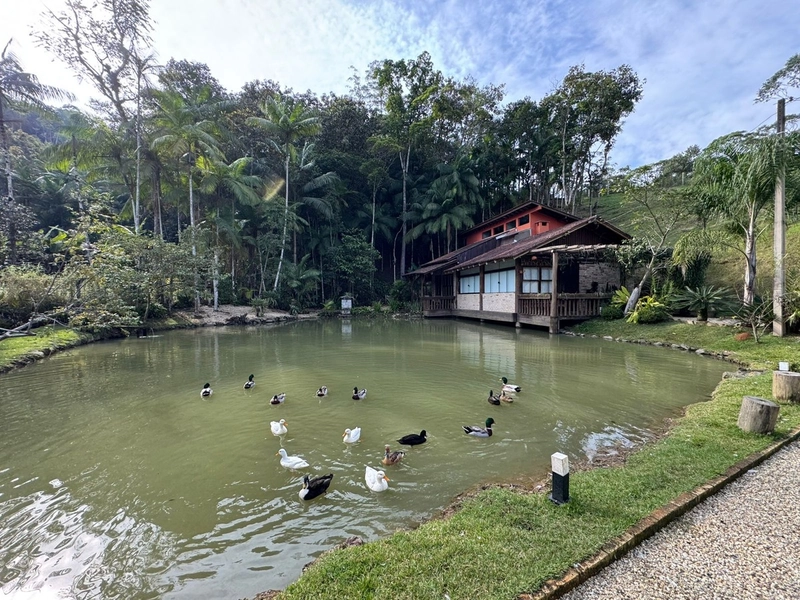 Venha conferir esse lindo sítio entrando para venda!: 2ª foto da galeria de imagens do imóvel