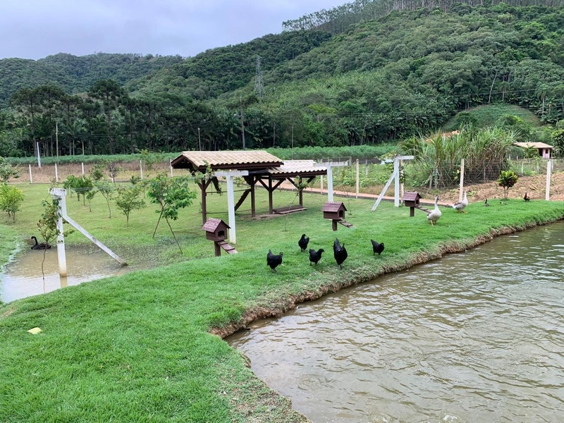 Para quem busca um verdadeiro refúgio em meio a Natureza: 31ª foto da galeria de imagens do imóvel