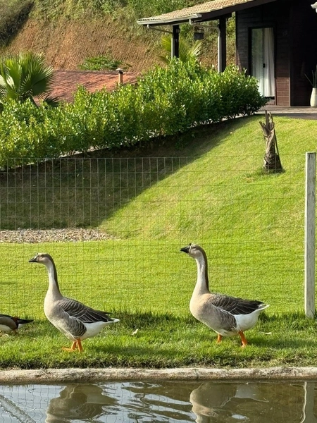 Para quem busca um verdadeiro refúgio em meio a Natureza: 44ª foto da galeria de imagens do imóvel