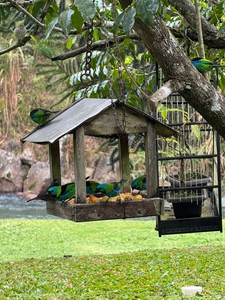 Imóvel rural que conecta você à Natureza e à tranquilidade,em IndaiaL: 35ª foto da galeria de imagens do imóvel